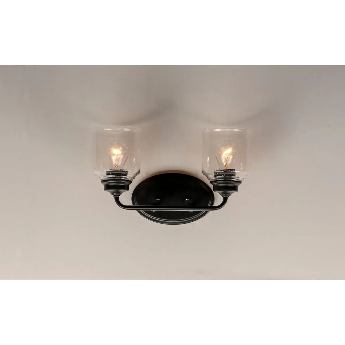 Acadia 15 in. 2 Lights Vanity Light Black Finish