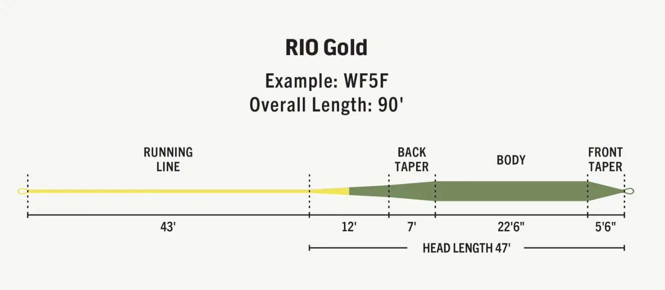 Rio Gold Fly Line