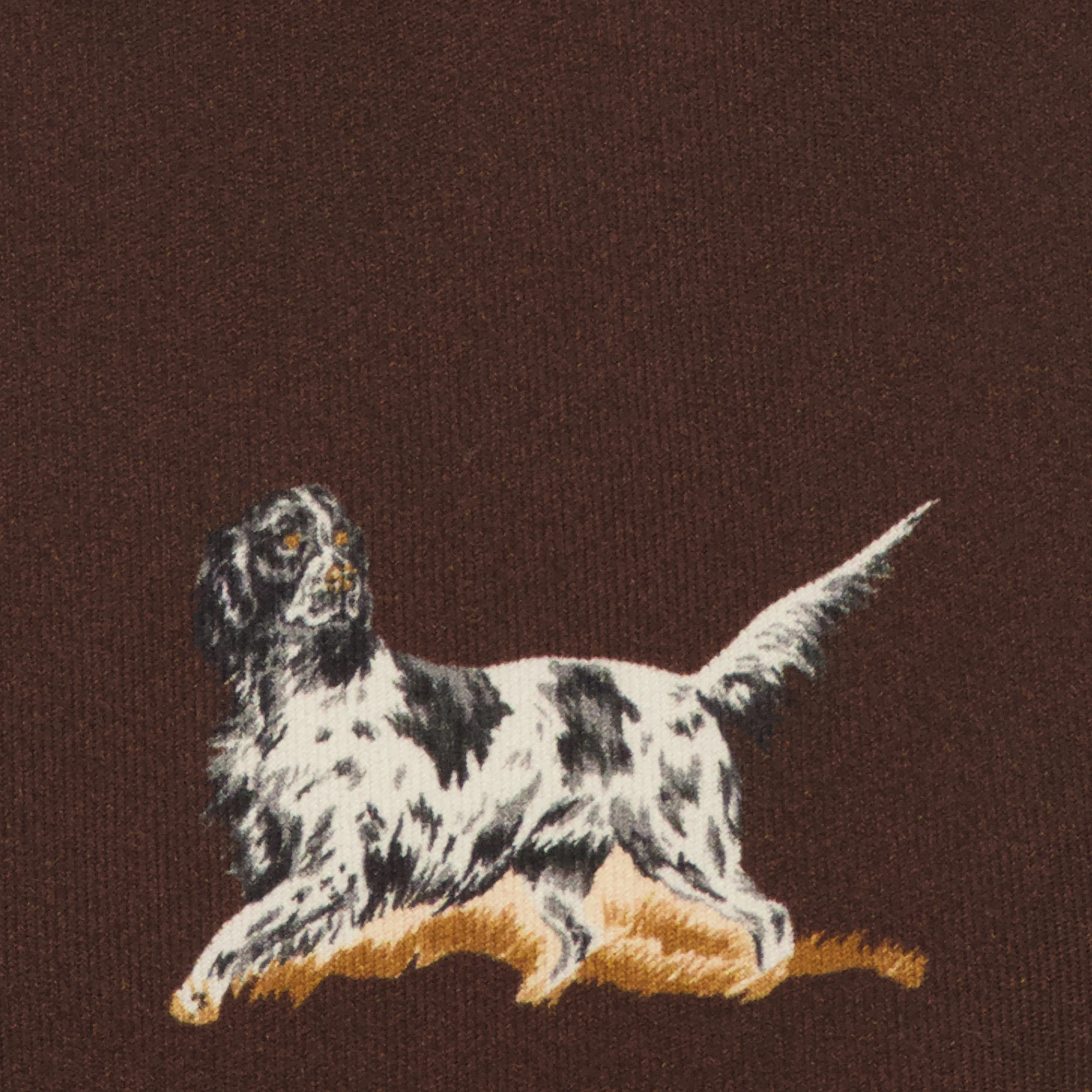 Wandawega Fetch Chocolate Tie