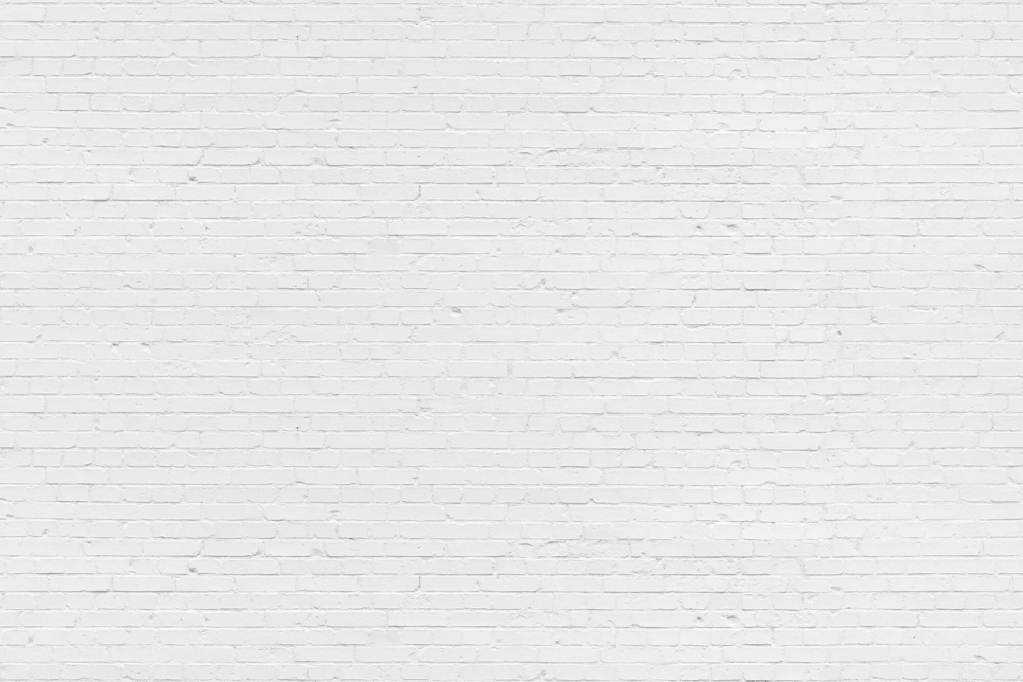 White Brick Wall - 9459W Mural